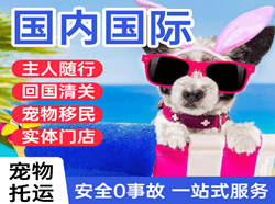 敦煌莫高机场托运国际宠物托运 【国